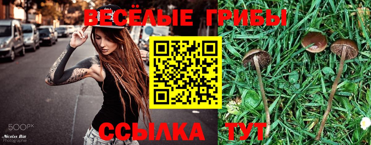 Псилоцибиновые грибы Magic Shrooms  Вход с VPN  Строитель 