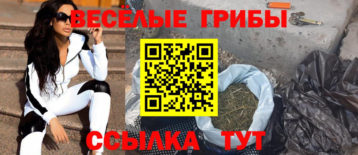 Псилоцибиновые грибы Psilocybe Строитель
